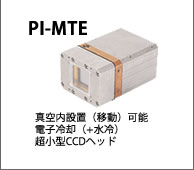 PI-MTE