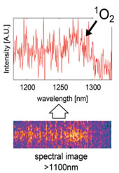 spectral image