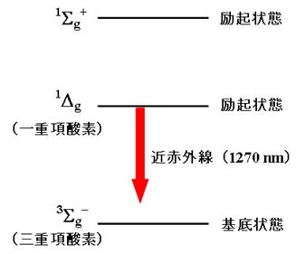 一重項酵素