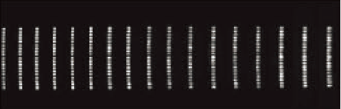 SpectrsPro Model